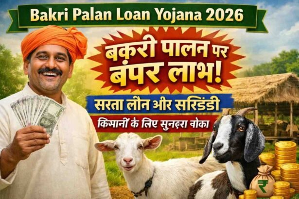 Bakri Palan Loan Yojana 2026: बकरी पालन पर बंपर लाभ! सस्ता लोन और सब्सिडी, किसानों के लिए सुनहरा मौका